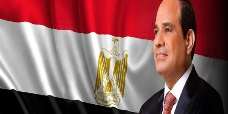 نواب: تطوير المطارات وطرح الغردقة للشراكة خطوة استراتيجية لتعظيم الإيرادات وتحسين الخدمات - هرم مصر
