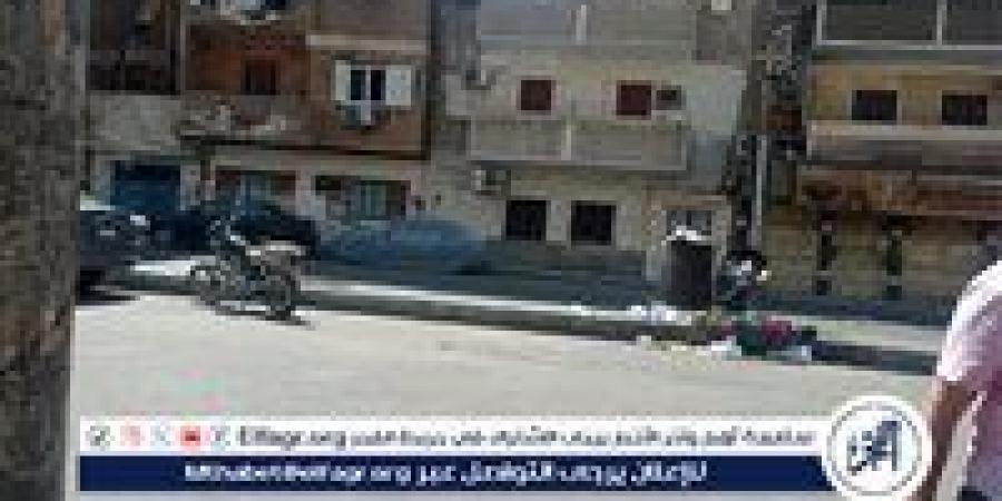 بيطري قنا يشن حملة موسعة لمكافحة السعار - هرم مصر