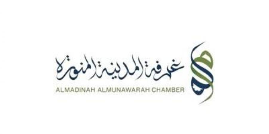 قطاع النقل بالمدينة المنورة يواكب مشاريع تنموية كبرى بالمنطقة - هرم مصر