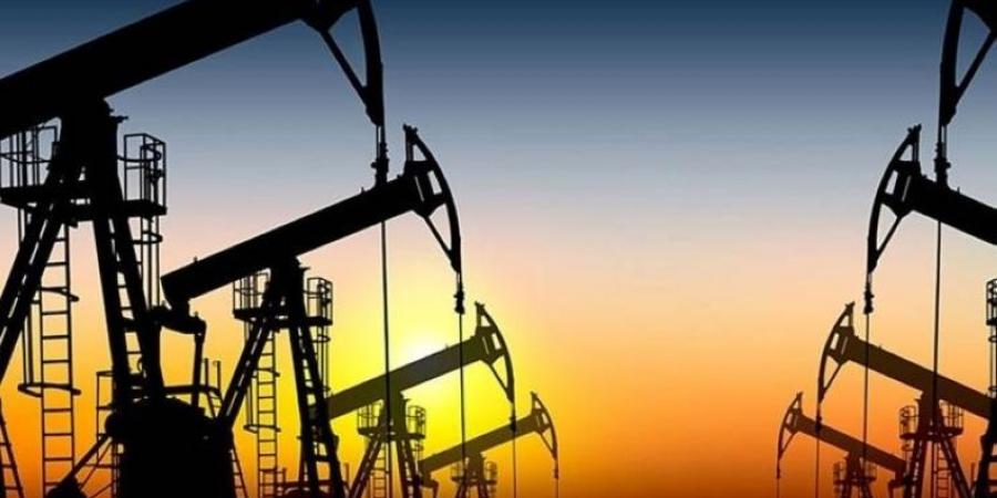 تراجع أسعار النفط - هرم مصر