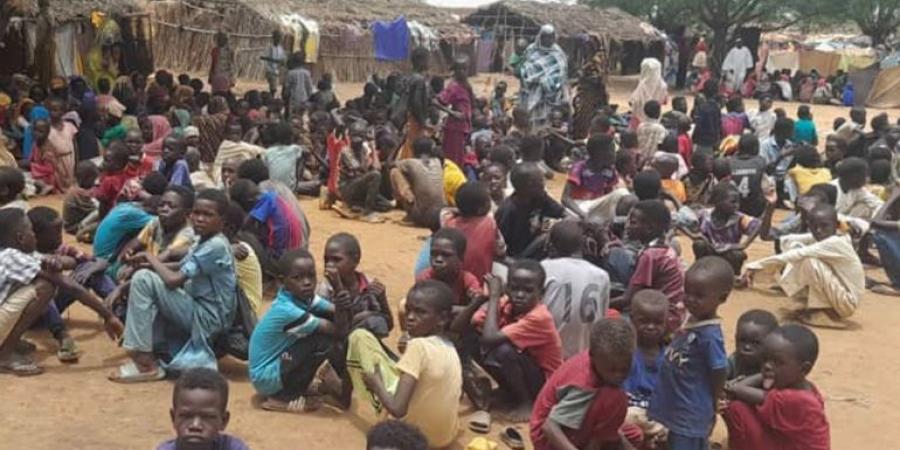 الجيش السوداني يصد هجوما واسعا لقوات الدعم السريع على الفاشر - هرم مصر