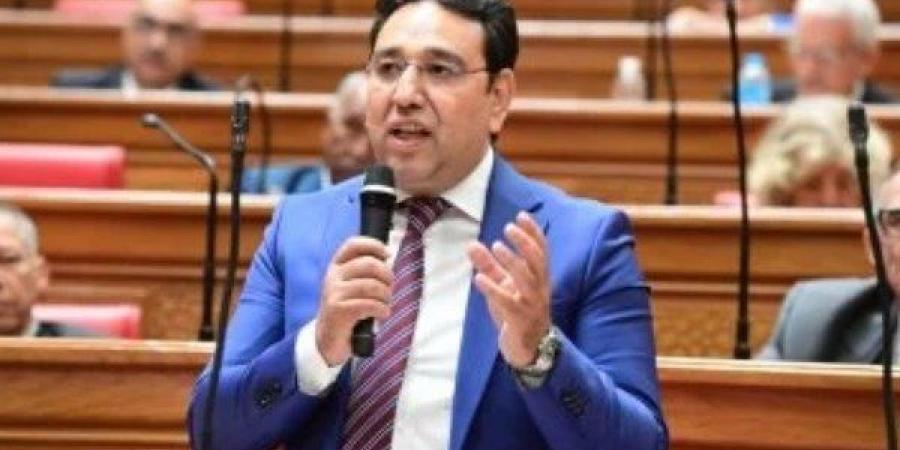 برلماني: لقاءات الرئيس السيسي مع البرهان وحفتر تجسد التزام مصر باستقرار المنطقة - هرم مصر