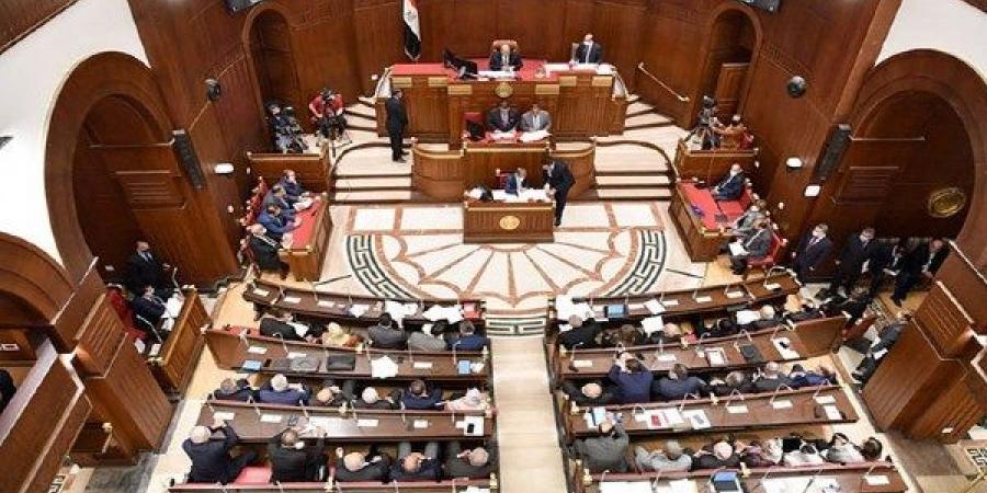 بعد اجتماع الوطنية للانتخابات.. المستندات المطلوبة للترشح بالشيوخ - هرم مصر