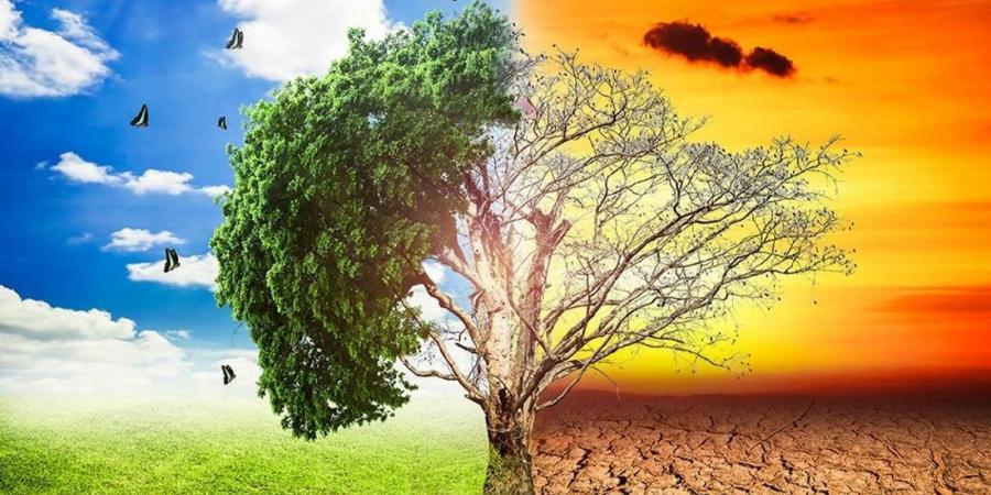 رئيس حزب البيئة العالمي يُحذر: الكوكب يحترق والتغير المناخي يخرج عن السيطرة - هرم مصر