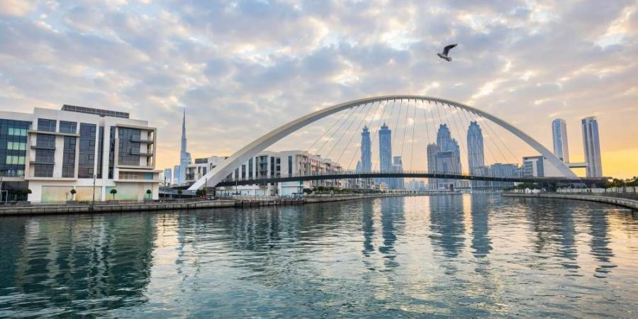 20 سؤالاً وإجابة.. كيف تشارك في برنامج «تملُّك العقار الأول» بدبي؟ - هرم مصر