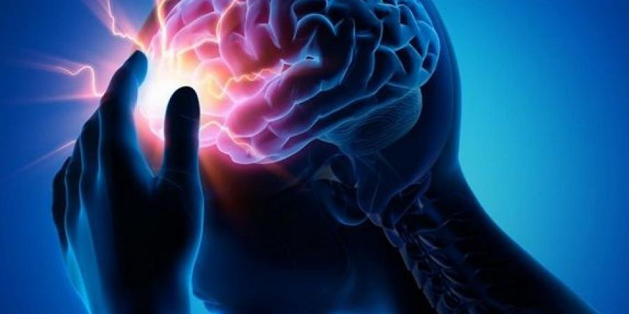 دراسة أمريكية تكشف الرابط بين إصابات الدماغ والسلوك الإجرامي - هرم مصر