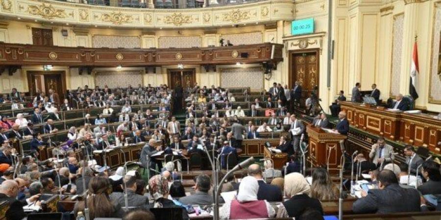نواب: منهجية مستشار وزير التعليم أدت إلى إعداد مشروع قانون به عوار دستوري - هرم مصر