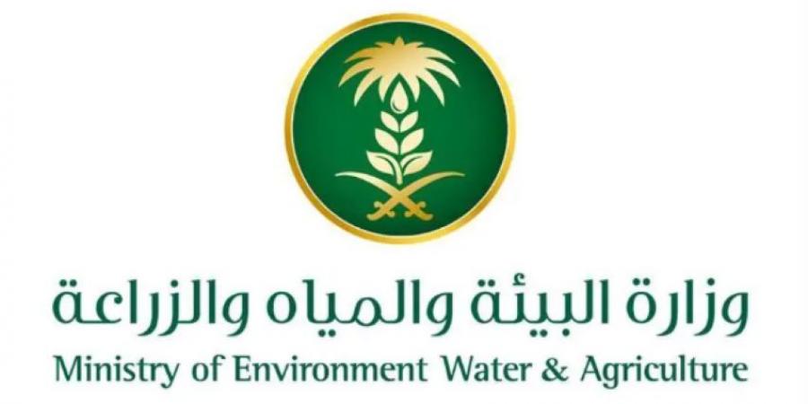مكاتب البيئة بمنطقة مكة المكرمة تواصل تنفيذ مبادرات سقيا المزروعات - هرم مصر