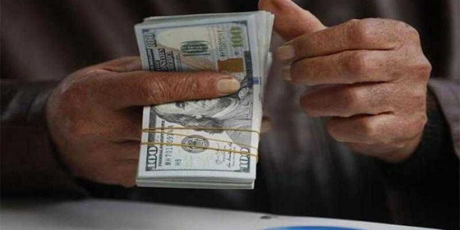 أسعار الدولار في مصر اليوم الجمعة - هرم مصر
