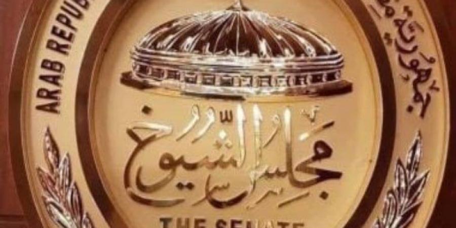 في اليوم الأول.. 8 مرشحين تقدموا بأوراقهم لانتخابات الشيوخ في بني سويف - هرم مصر