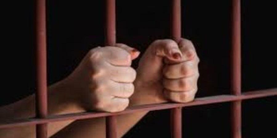 ضبط سائق توكتوك بتهمة التـ.ـحرش بطـ.ـفلة بالبحيرة - هرم مصر