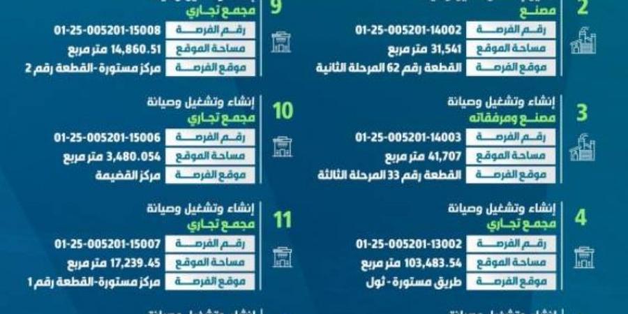 أمانة جدة تطرح 13 فرصة استثمارية في رابغ - هرم مصر