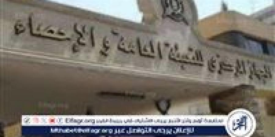 التعبئة والاحصاء: مصر بذلت جهودا كبيرة للحد من الزيادة السكانية - هرم مصر