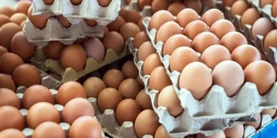 سعر كرتونة البيض بمنافذ التموين - هرم مصر