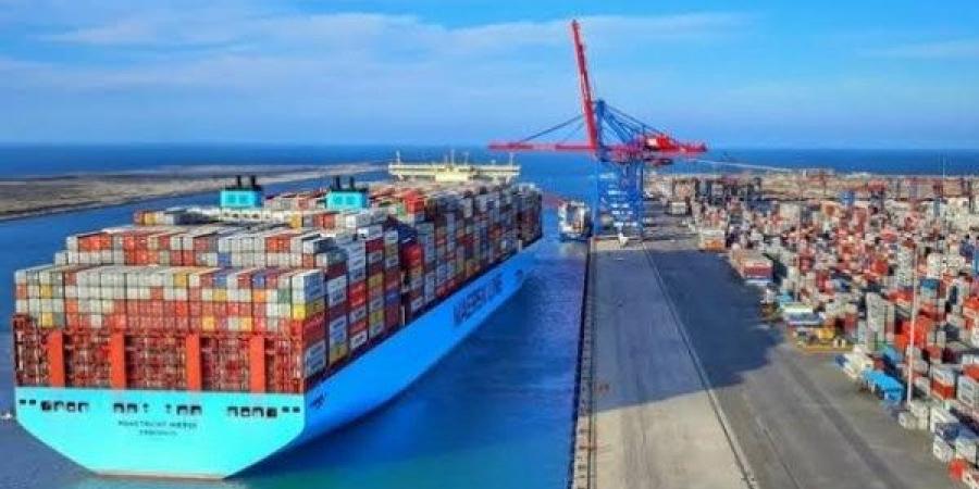خلال أسبوع.. إصدار 700 شهادة صحية.. و86 إذن تصدير والفاصولياء والعنب - هرم مصر
