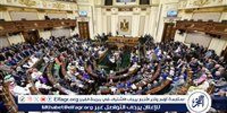 "النواب" يوافق على صرف حافز مناطق نائية من 200% لـ 600% لأعضاء المهن الطبية - هرم مصر