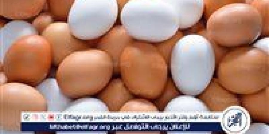أسعار طبق البيض اليوم الاثنين 7-7-2025 في قنا - هرم مصر