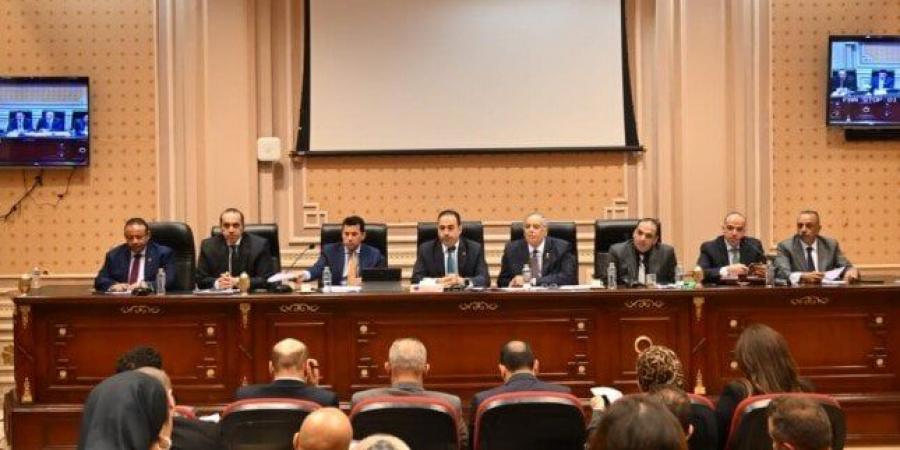 شباب النواب ترفض مقترح الحكومة بإنشاء الجهاز الوطني للرياضة - هرم مصر