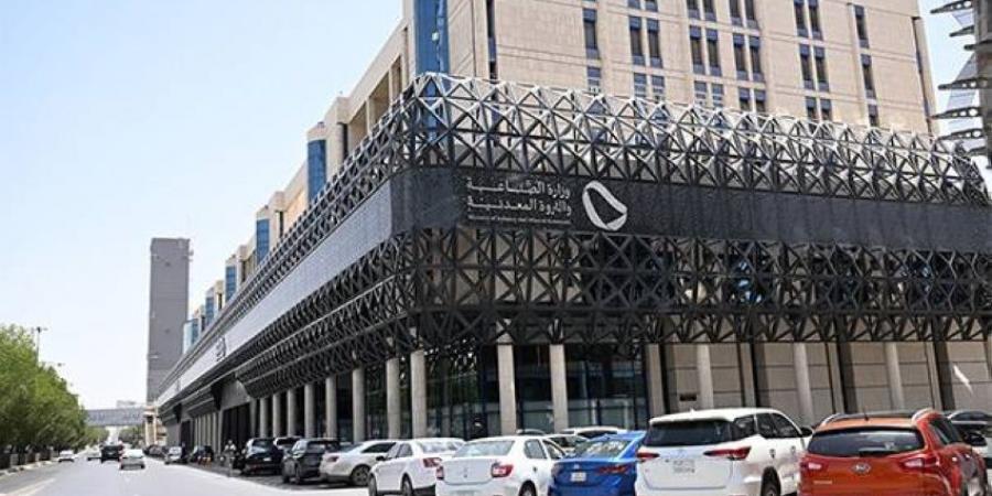الإبلاغ عن الزيادات غير المبررة في الواردات - هرم مصر