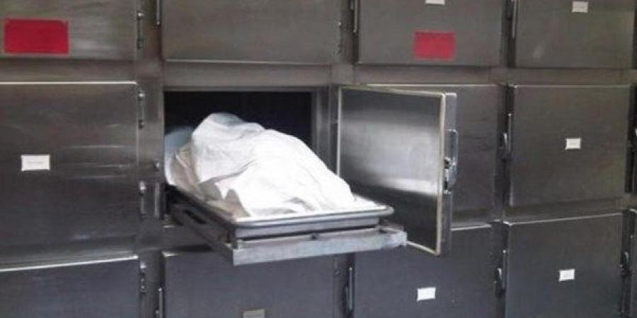 انقلاب جرار زراعي ومصرع قائده في طهطا بسوهاج - هرم مصر