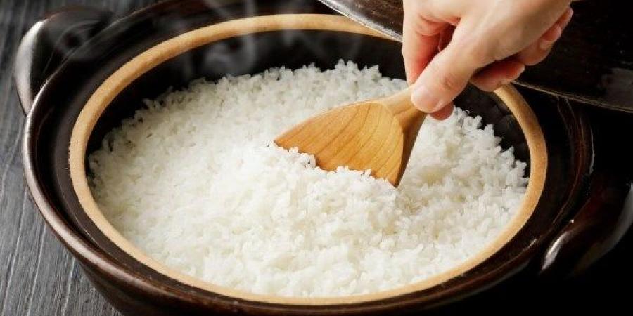 الأرز أم الخبز.. أيهما أفضل لإنقاص الوزن؟| خبير يكشف عن مفاجأة - هرم مصر