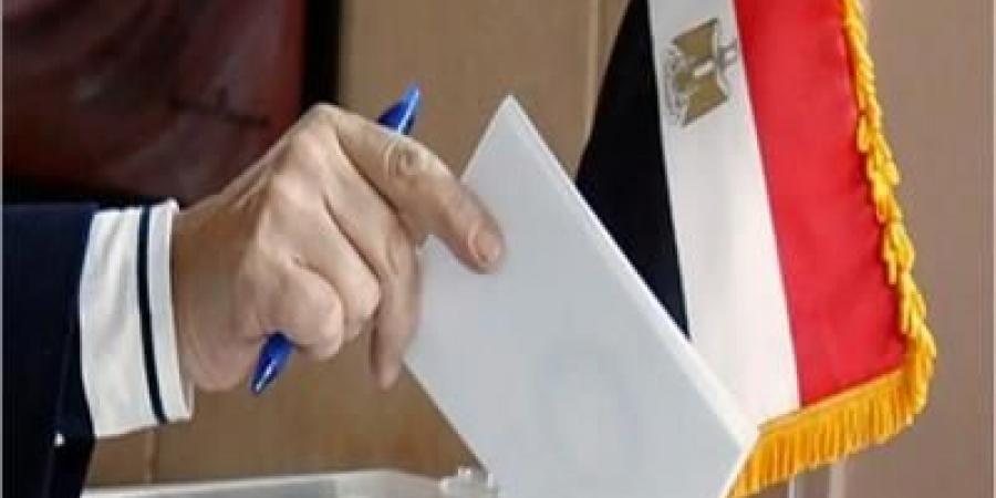 انتخابات مجلس الشيوخ .. تقدم  19 مرشحا لخوض الانتخابات في البحيرة - هرم مصر