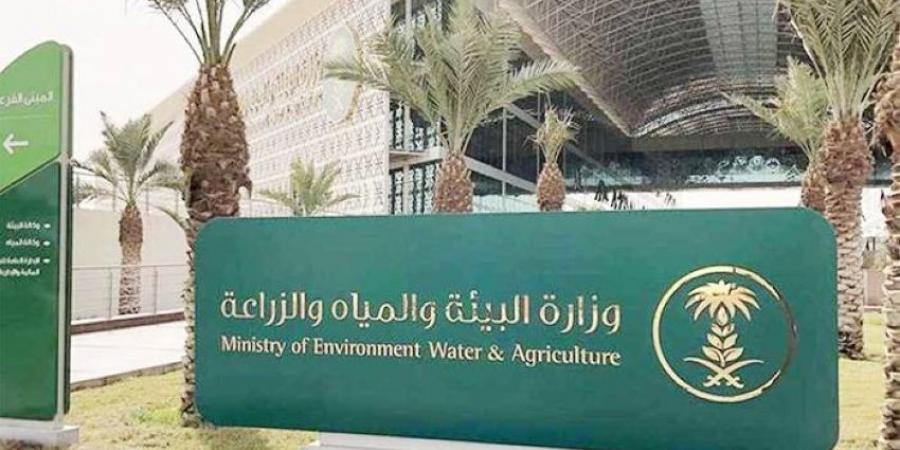 للمرة الأولى.. إدارة مزارع الماشية بإنترنت الأشياء - هرم مصر