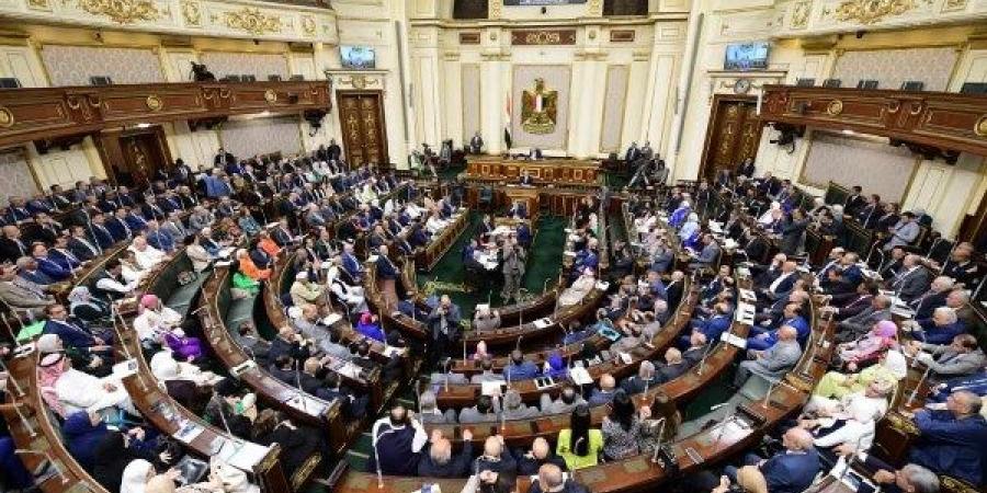 الحكومة تخطر اللجان النوعية بالنواب بسحب مشروع قانون تنظيم المراكز الطبية المتخصصة - هرم مصر