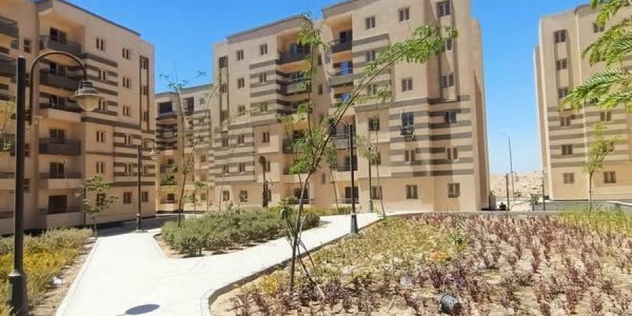 تشغيل إنارة «غرب المطار» بسكن كل المصريين  بأكتوبر الجديدة - هرم مصر