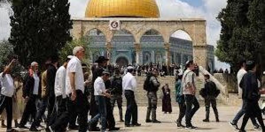 انتهاك جديد لقدسية الأقصى.. المستوطنون يقتحمون الباحات تحت حماية الاحتلال| تقرير - هرم مصر