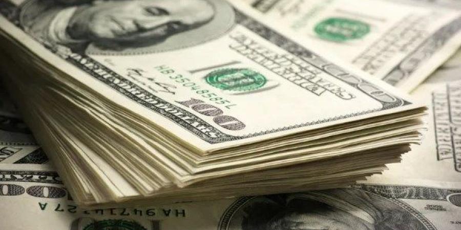 سعر الدولار مقابل الجنيه المصري اليوم الثلاثاء 8 يوليو - هرم مصر