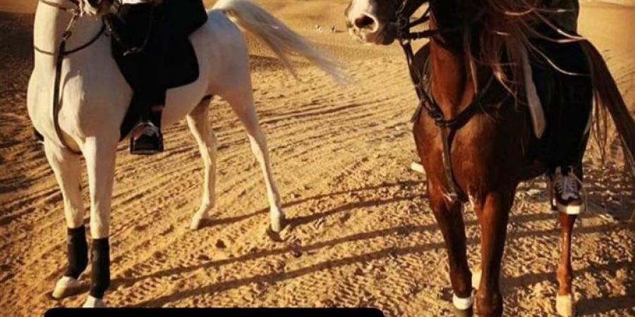 محمد سامي ومنة فضالي يدعمون أحمد السقا..ماذا قالوا ؟ - هرم مصر
