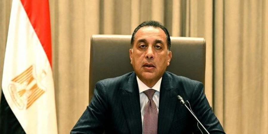 مصر تتطلع للاستفادة من خبرات البريكس في الطاقة المتجددة والرقمنة والتنمية الزراعية.. والوزراء: التكتل قوة عالمية متعددة الأبعاد - هرم مصر