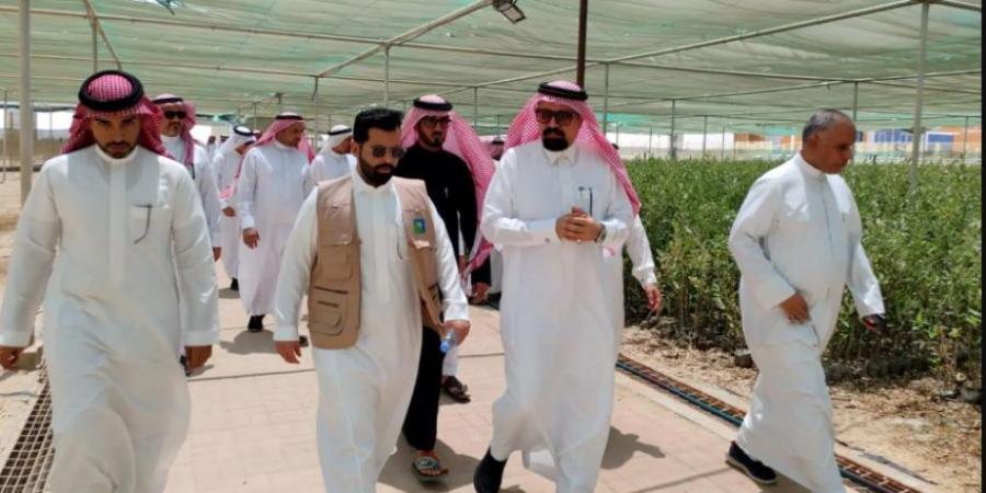 بيئة القطيف تحتفي باليوم الدولي لغابات المانجروف - هرم مصر