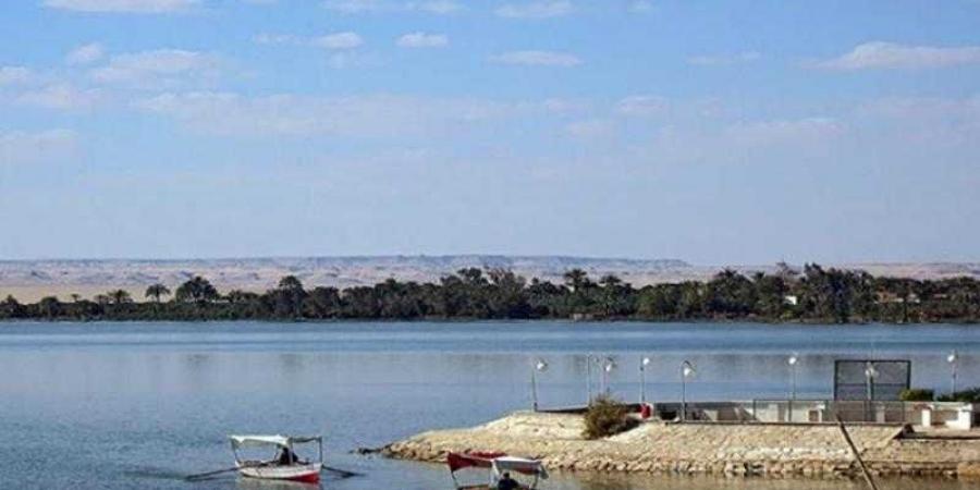 ”جهاز حماية وتنمية البحيرات” يطلق الدفعة الثالثة من يرقات الجمبري في بحيرة قارون ـ الفيوم - هرم مصر