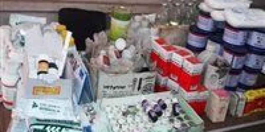 ضبط 180 عبوة أدوية بيطرية منتهية الصلاحية ومجهولة المصدر بالغربية - هرم مصر