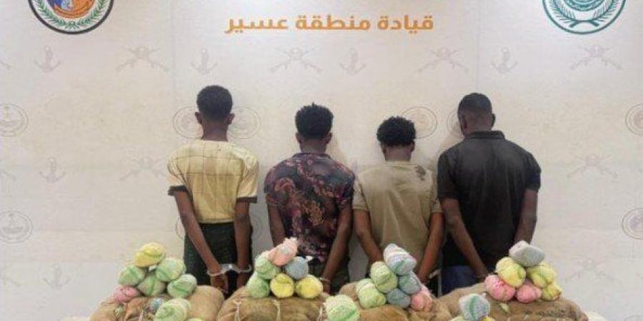 ضبط 4 أشخاص لمحاولتهم تهريب كمية من نبات القات المخدر بمنطقة عسير - هرم مصر