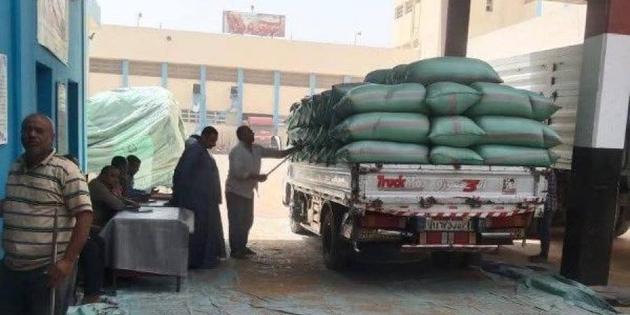 إنتهاء موسم حصاد القمح والشرقية الأولي على الجمهورية بتوريد 604 ألف طن - هرم مصر