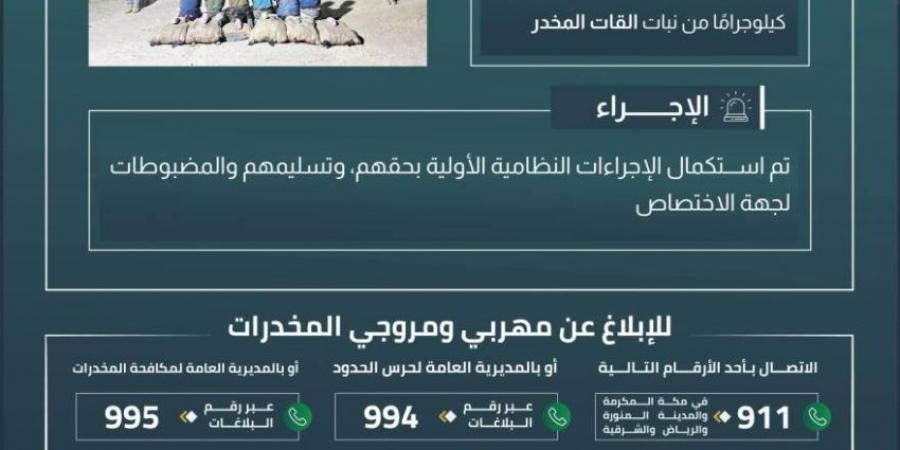 القبض على 6 مخالفين بجازان لتهريبهم 90 كلجم من نبات القات - هرم مصر