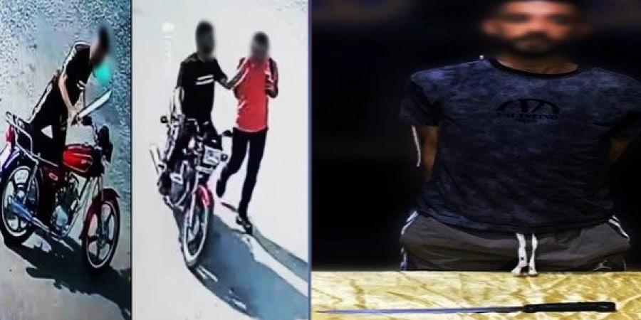 أمين الفتوى: التبليغ عن الجرائم حماية للمجتمع وليس "فضيحة" - هرم مصر