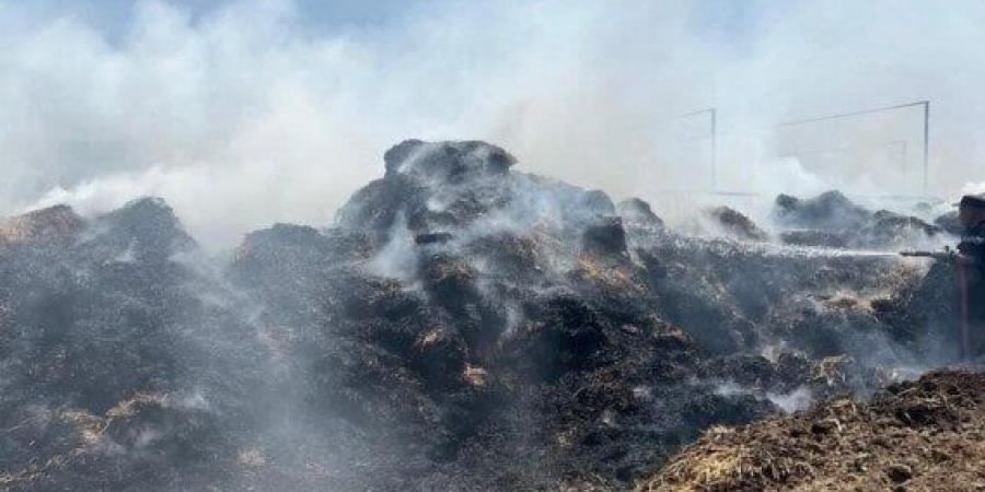 السيطرة على حريق في مزرعة مواشي بالقليوبية - هرم مصر