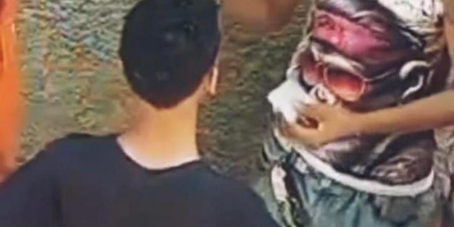 ضبط عاطل يروج للمخدرات عبر فيديو متداول في شبرا الخيمة - هرم مصر