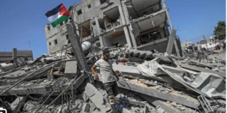عصام أبو بكر: استهداف الصحفيين بغزة يتجاوز المسجل في حربين عالميتين - هرم مصر