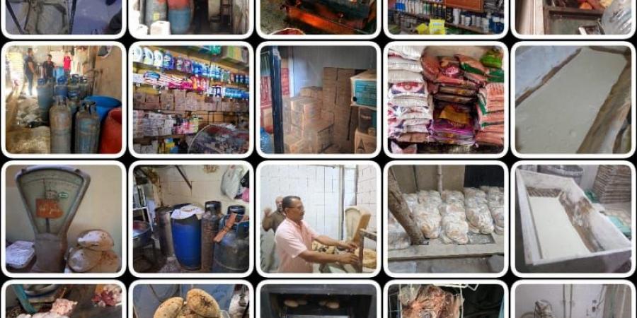 تموين القليوبية تضبط 310 مخالفة متنوعة للمخابز والأنشطة التجارية - هرم مصر