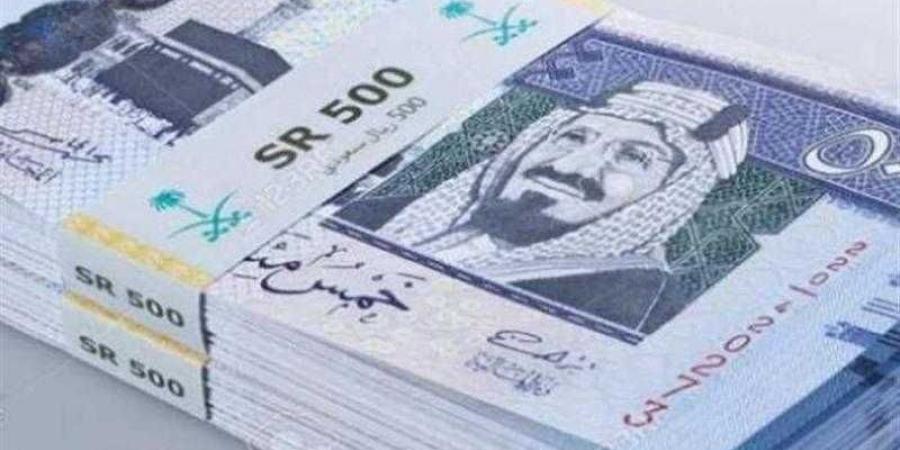 أسعار الريال السعودي في مصر اليوم الأحد - هرم مصر