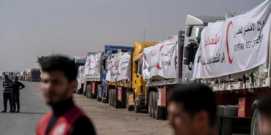 الهلال الأحمر المصري يدفع 2400 طن مساعدات غذائية وطبية في قافلة «زاد العزة» الـ 16 إلى غزة - هرم مصر