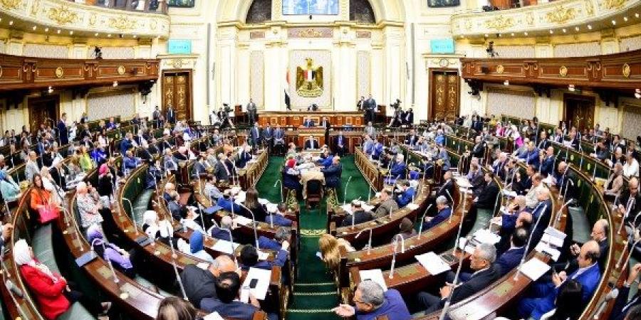 سؤال فى النواب حول سياسات "الصحة " للوقاية من أمراض الفشل الكلوى والأورام - هرم مصر