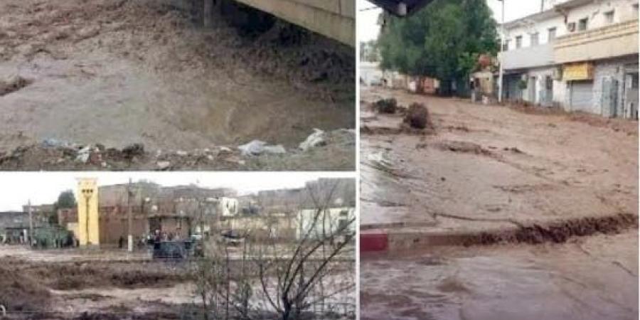 بين السَّماء والأرض.. زائر ليلي يُروّع أهل تبسة الجزائرية على التوالي بين 2024 و2025 - هرم مصر