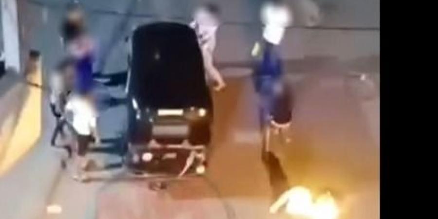 شاهد.. عاطلان يطلقان الكلاب على شخص ويعتديان عليه في الإسكندرية.. صور - هرم مصر