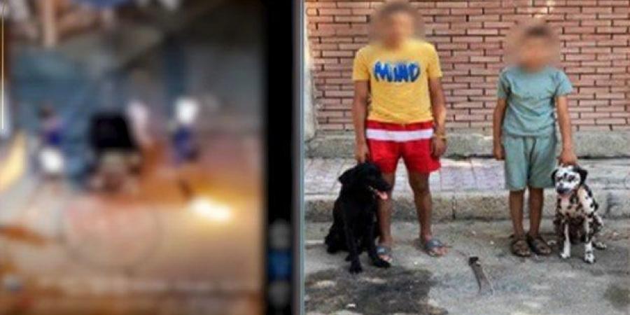 أطلقا عليه كلبين.. ضبط شخصين بتهمة الاعتداء على آخر بالضرب في الإسكندرية - هرم مصر